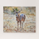 Recherche de vitesse de chasse Nature