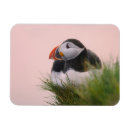 Recherche de atlantique magnets Europe