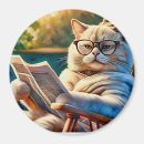 Recherche de grincheux magnets Amoureux de les chats