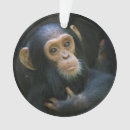 Recherche de gorille ornements Nature