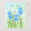 Recherche de iris cartes postales Fleurs d'iris