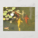 Recherche de carpe koi cartes postales Étang