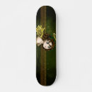 Recherche de angel skateboards Saint