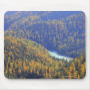 Recherche de passage tapis souris Photographie