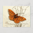 Recherche de papillons oranges cartes postales Vintage