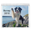 Recherche de border collie bureau fournitures Animal