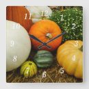 Recherche de de halloween photographie Nature