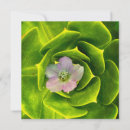 Recherche de hellebores vœux cartes Floral