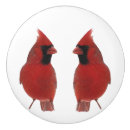 Recherche de oiseau rouge boutons et poignées de porte Oiseaux