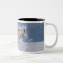 Recherche de colombe tasses Océan