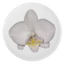 Recherche de orchidée boutons et poignées de porte Fleur
