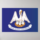 Recherche de state flag Illustration