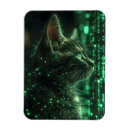 Recherche de chaton magnets Cool