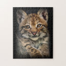 Recherche de lynx puzzles Chat