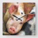 Recherche de funny pig posters Animals