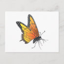 Recherche de papillons vol cartes postales Ailes