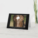 Recherche de race de cheval vœux cartes Chevaux