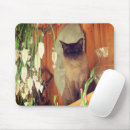 Recherche de caresse tapis souris Animal