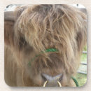 Recherche de taureau dessous de verres Pays