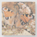 Recherche de peinture papillon dessous de verres Fleurs de printemps
