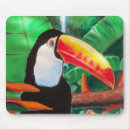 Recherche de toucan tapis souris Jungle