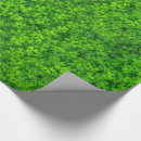 Recherche de vert papier cadeau Nature