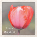 Recherche de fleur tulipe dessous de verres Photographie
