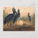 Recherche de projets cartes postales Animal