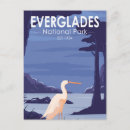 Recherche de mangroves cartes postales Floride