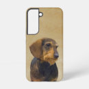 Recherche de poils coques Doxie