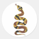 Recherche de peau de serpent autocollants Brun