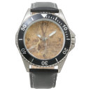 Recherche de lion montres Faune