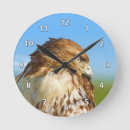 Recherche de profil horloges Oiseaux