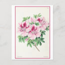 Recherche de azalée cartes postales Floral