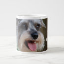 Recherche de miniature schnauzer tasses Chien
