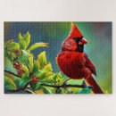 Recherche de cardinal du nord Animal