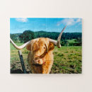 Recherche de vache vaches puzzles Pour enfants