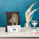 Recherche de amoureux plaques Chat