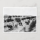 Recherche de mules cartes postales Historique