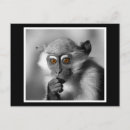 Recherche de singe de bébé cartes postales Ape