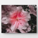 Recherche de lumineux plaques Pour elle