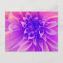 Recherche de macro cartes postales Nature
