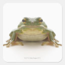 Recherche de sang froid autocollants Reptiles