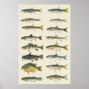 Recherche de outdoorsman posters Poissons