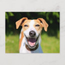 Recherche de riant cartes postales Mignon