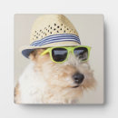 Recherche de renard plaques Chien