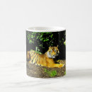 Recherche de tigre de sumatran tasses Animaux