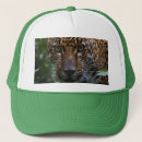 Recherche de jaguar casquettes Sauvage