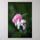 Recherche de de fleur de coeur art Plante