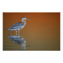 Recherche de aviaire art Floride
